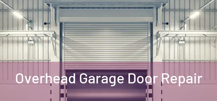  Overhead Garage Door Repair 
